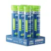 Electrolyte Hydratation Endurance, Limon Lime, 6 x